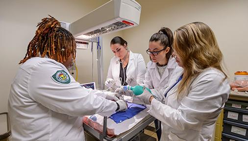 Respiratory care students work in lab